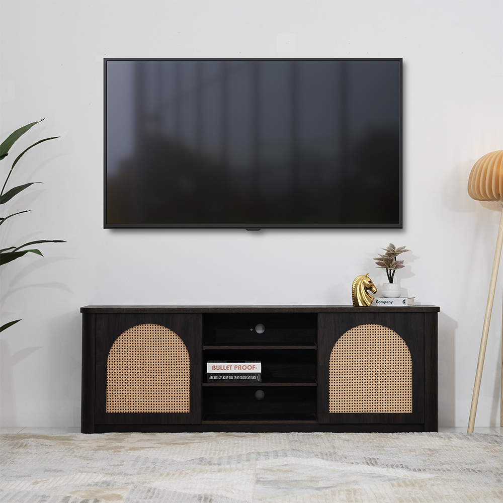 Canon Tv Unit