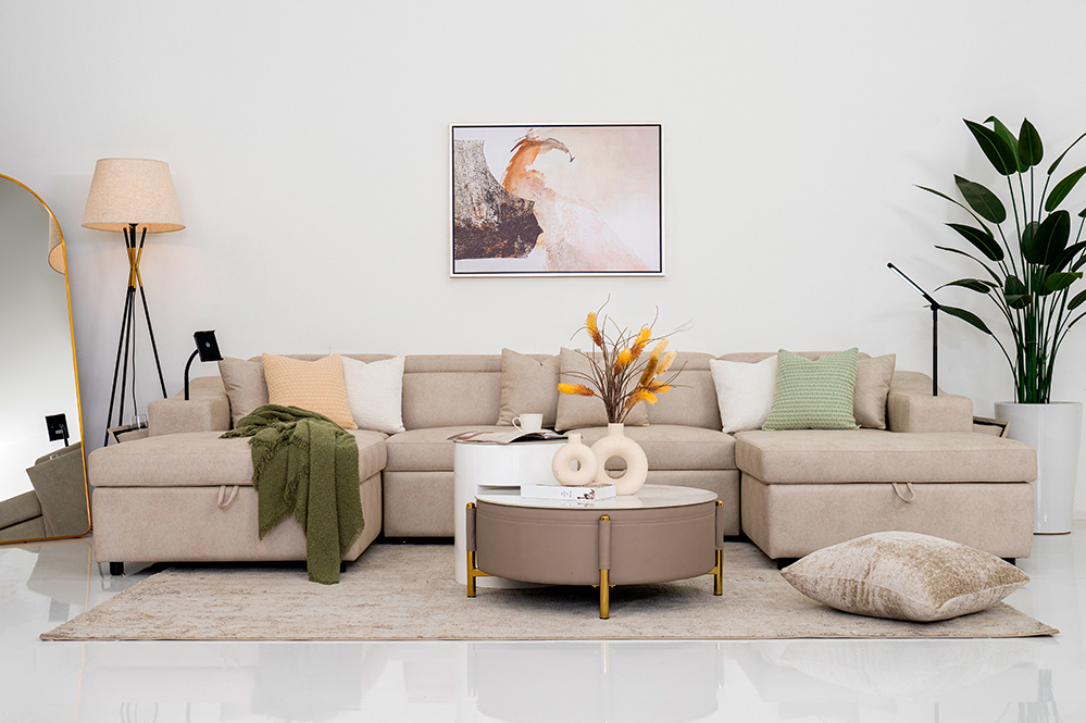 Cherish-Smart Sofa bed with Storage