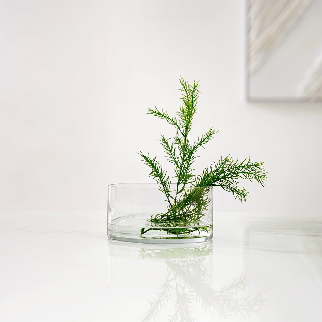 Atlas Clear glass cylinder vase 20x10cm