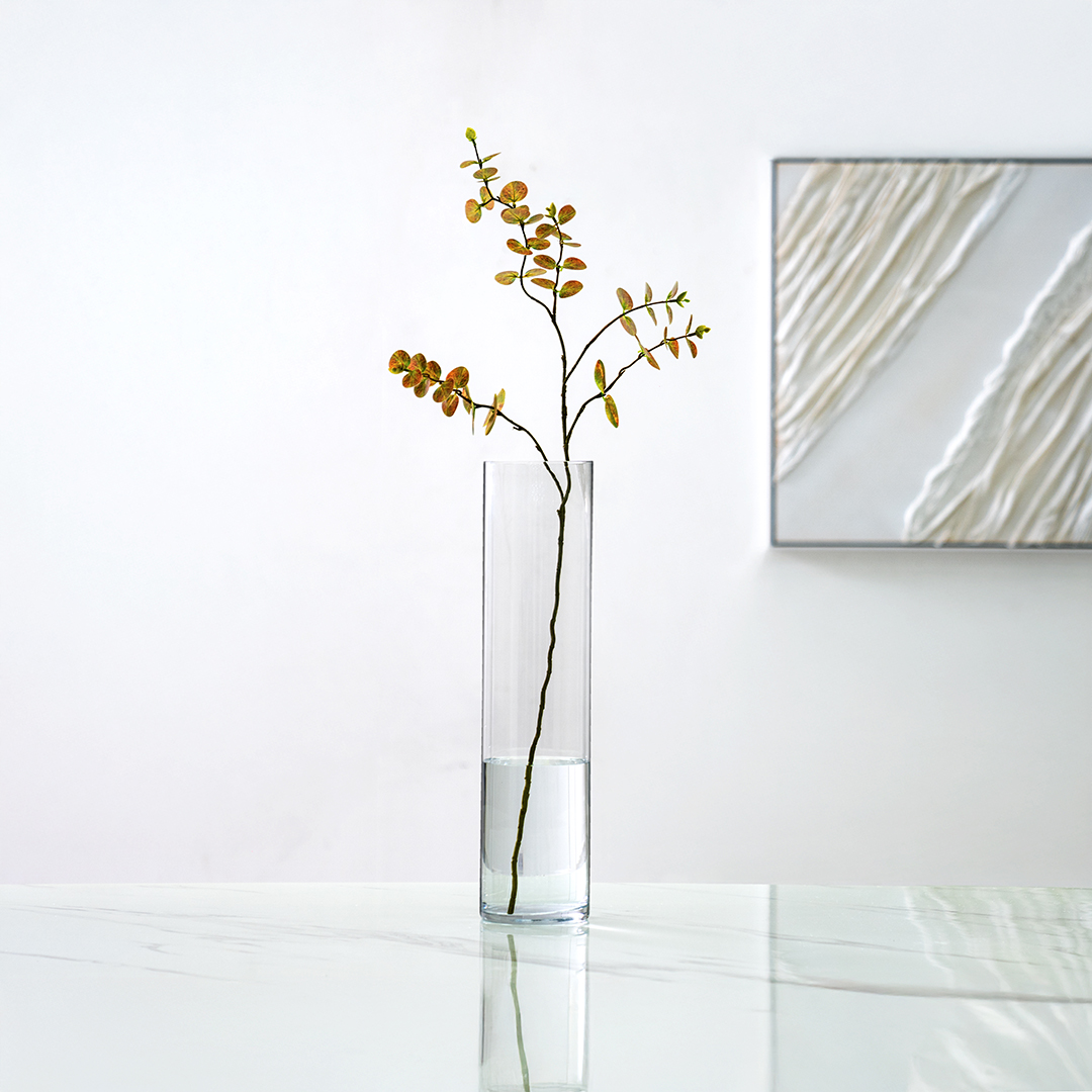 Atlas Clear glass cylinder vase 12x50cm