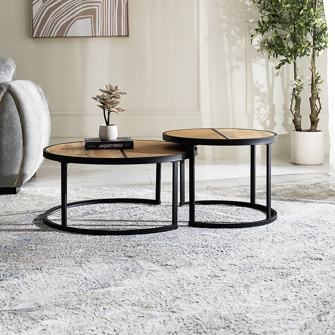 Aversa 2-piece Coffee Table Set